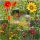  MISCHUNG AUS Wildblumen BLUMENWIESE 100g