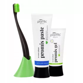  PROMIS STARTER SET GESCHENK PASTE PINSEL