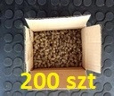 Zucht von Bienenköniginnen Kokons von roten Mauerbienen