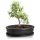 Polnix Blumentopf 25 cm x 18 x 6 cm Durchmesser 18 cm Keramik Graphit