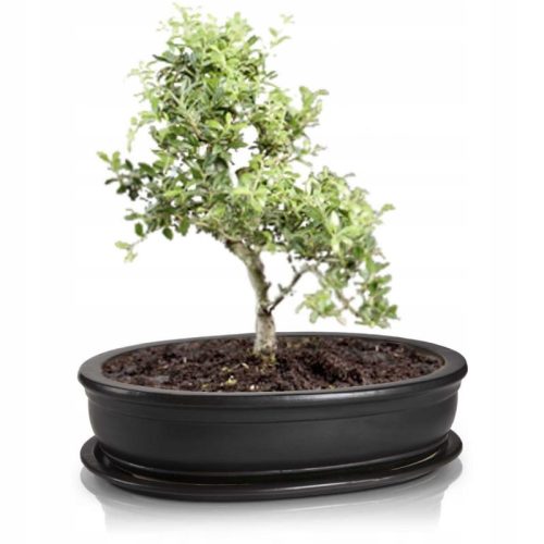  Polnix Blumentopf 25 cm x 18 x 6 cm Durchmesser 18 cm Keramik Graphit
