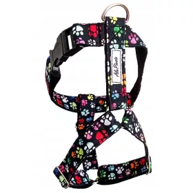  Wachhundgeschirr mit bunten Sprüngen, Größe S, AlePiesio