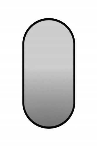  Ovaler Spiegel schwarz 50/150 cm