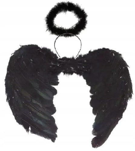  Fallen Angel-Set, schwarze Flügel 60x45 cm + schwarzer Halloween-Heiligenschein