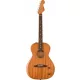  Fender Highway Series Parlour RW All-Mahagoni Elektroakustische Gitarre