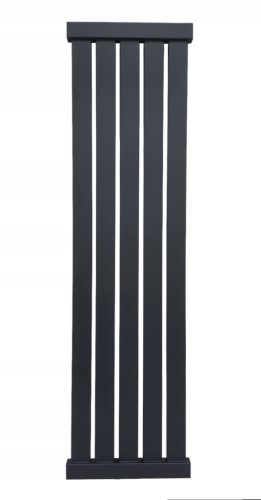  Wasserbadheizkörper Scarlet 467 W 380 x 1200 mm schwarz