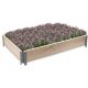 Gewächshäuser, Mini-Gewächshäuser und Mini-Gewächshäuser Aga-Blumenbeet 120 cm x 80 x 20 cm aus Holz