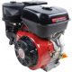 Weim-Verbrennungsmotor wm192f 13,1 kW