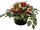  Grabdekoration Grabstrauß Friedhofsrosen