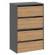  TopEshop Schuhschrank 60 x 88 x 36 cm Anthrazit