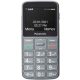  Panasonic KX-TU160EXG Mobiltelefon 32 MB 2G grau