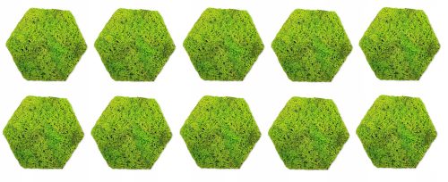 Hexagon-Moos-Dekoplatte, Hexagon-Moos, 10 Stk