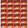  Weißes Anzündholz, Flambit, 24er-Pack X 32 Würfel Kaminanzünder