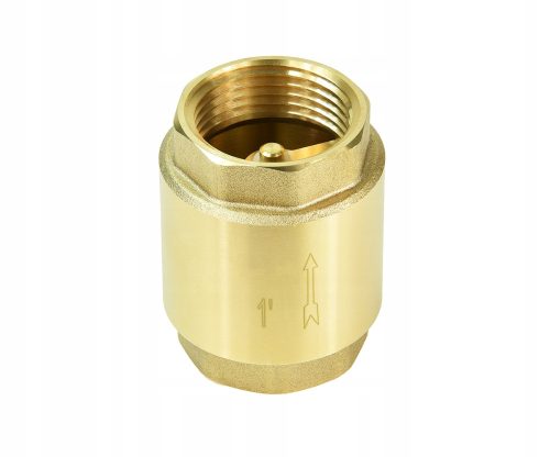 Einbach Sitzventil 1" Rückschlagventil 1" Messing