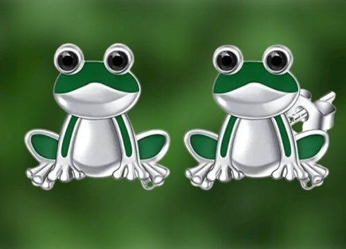  Frosch-Ohrringe, wunderschöne silberne Ohrstecker