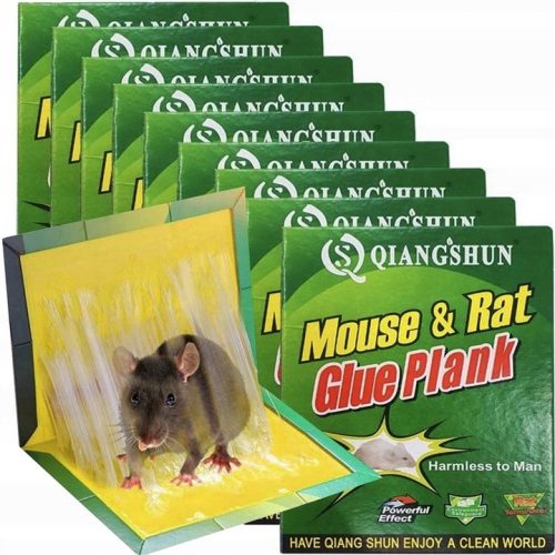  10x BUZZRAP LEP PAW MAUSEFALLE RATTEN