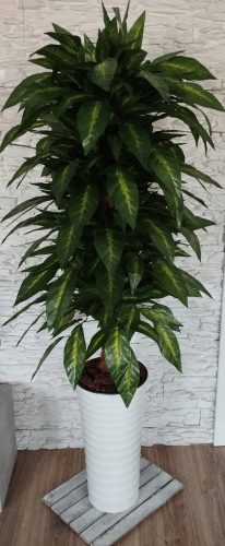 Künstliche Blumen und Früchte Ficus Ficus Kunstblume 155 cm Deko weiß schwarz Röhrentopf