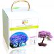 PAULOWNIA-SAUERSTOFF-BONSAI-BAUM-ZUCHTSATZ XXL-SAMEN – ALS GESCHENK