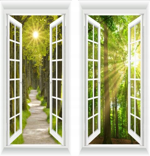 FOTOTAPETE FENSTER 3D WALD BÄUME NATUR 100 X 230 cm
