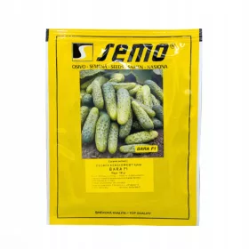  GURKENSAMEN BARA F1 100G SEMO