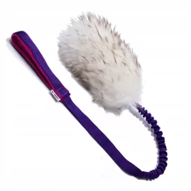  Hundezerrer. Natürlicher Schafzerrer