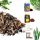 Gartenerde LEICHTES PREMIUM-SUBSTRATGITTER FÜR BLUMEN MONSTERA PALM STRELICJA 12L