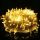  SUNNEST 301 Weihnachtsbaumbeleuchtung – 500 Lichter