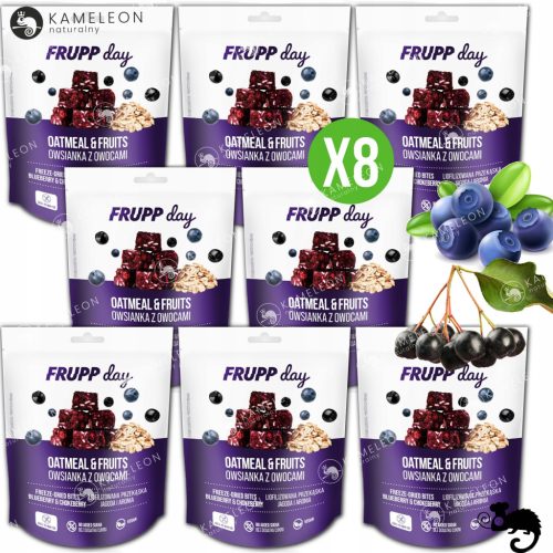 FRUPP Day: Gefriergetrocknete Haferwürfel mit Beeren und Aronia – 25g, Vegan, Glutenfrei