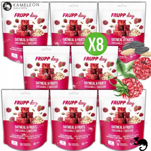 FRUPP Day - Gefriergetrocknete Müsli-Würfel mit Himbeere & Sonnenblumenkernen, 25g
