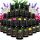 Essentielle Öle Set mit 100 % natürlichen ätherischen Ölen 200 ml BIO