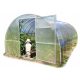 Folientunnel, Kunststoffplatten Folientunnel 12 m² 600 x 300 cm transparent