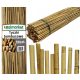 Gartenpfähle für Pflanzen Rolmarket Bambusstange 180 cm x 14 mm 50 Stk.
