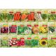  Starter-Set für Frühlingsgemüsesamen – 22 Packungen.