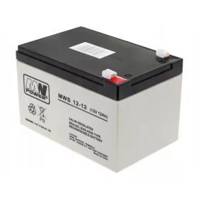 AGM MW POWER MWS 12 V 12 Ah Batterie