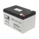  AGM MW POWER MWS 12 V 12 Ah Batterie