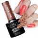  CLARESA CHESTNUT BROWN HYBRID POLISH STAY COSY 2