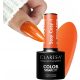  CLARESA ORANGE PUMPKIN HYBRID NAGELLACK STAY COSY 4