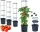 BLUMENTOPF 153 cm x 39,2 x 31,5 cm Durchmesser 39,2 cm Kunststoff schwarz