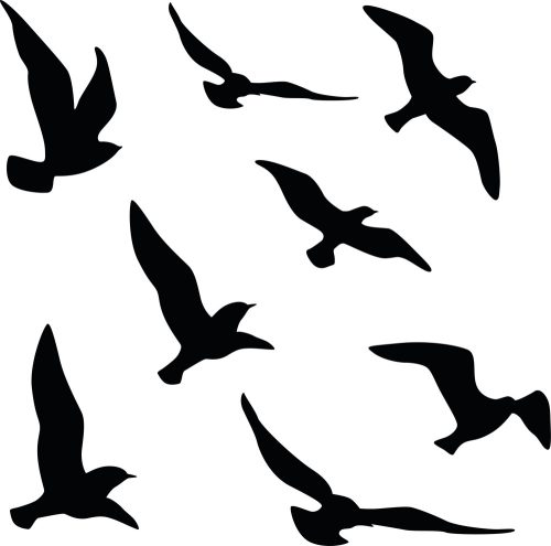  Oklejamy24 Abwehrmittel gegen Vögel