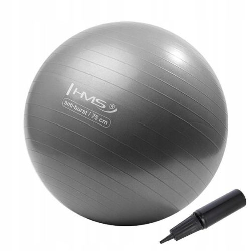  Klassischer Ball HMS 75 cm, Grautöne