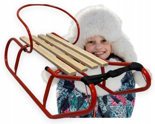  Schlitten mit Rückenlehne für Kinder, Holz, Metall, PL Schlitten