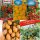  COCKTAIL-TOMATEN Samenkollektion 5 Packungen Set Nr. 1