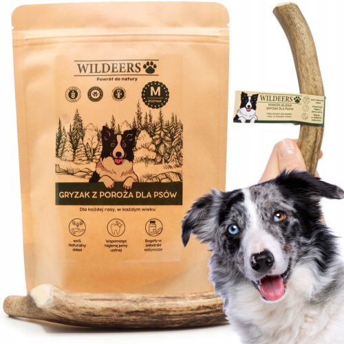  NATÜRLICHER HUNDEGEHÄUSE AUS ROBLEHIRSCHGEWEIH, GRÖSSE M, HART