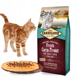  Carnilove Trockenfutter Forelle 6 kg