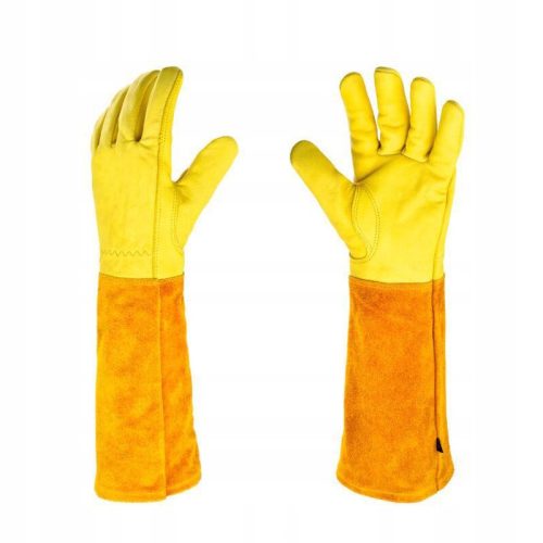  Handschuhe r. L