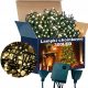  Operum 201 Weihnachtsbaumbeleuchtung – 300 Lichter
