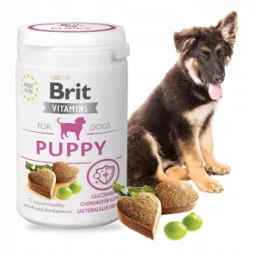  Vitamin-Sets für Hunde Brit Bites 150 ml 150 g 1 Stk.