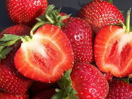  KENT Walderdbeeren und Erdbeeren, Sämling mit nackter Wurzel, 5-5 cm