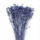 Künstliche Blumen und Früchte Getrocknetes Leinen, Blau und Marineblau - Blumenstrauß - Trockenblumen