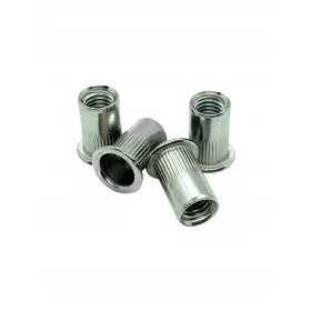 Zylindernietmutter aus Edelstahl M10 100 Stk